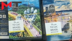 Bao Bì túi lọc